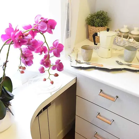 Romantic Flat Near Metro Flaminio Rome